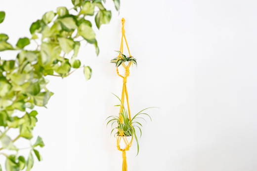 Doppelte Blumenampel - Anleitung