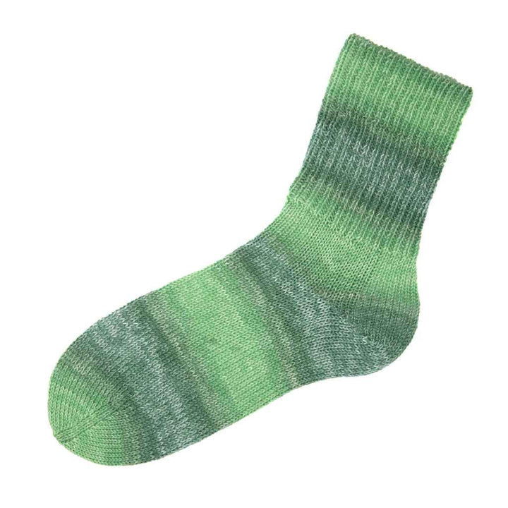 Gründl Hot Socks Malcesine Sockenwolle, Farbe 07  gras multicolor – Schurwolle und Synthetik bei Lieblingsgarn