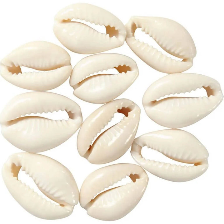Creativ Company 12 Stk. Muschelperlen bei bei bei bei Lieblingsgarn