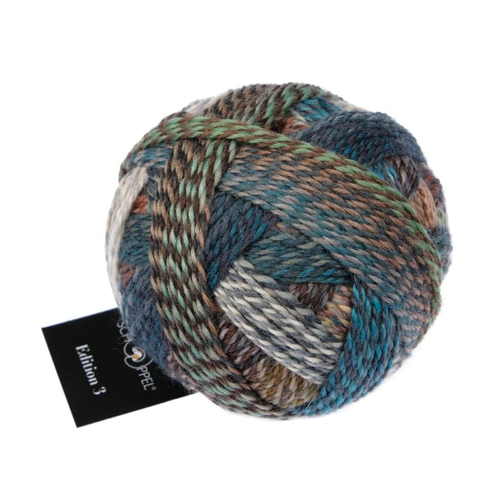 Schoppel Wolle Edition 3, Farbe 2531 Hundeblick – Merino und Schurwolle bei Lieblingsgarn