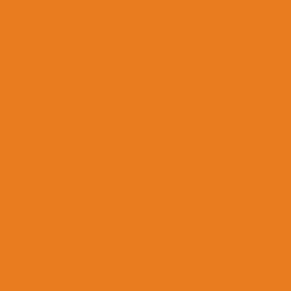 Jacquard 605 - Pumpkin Orange Jacquard Acid Dye Farben 14g Lieblingsgarn
