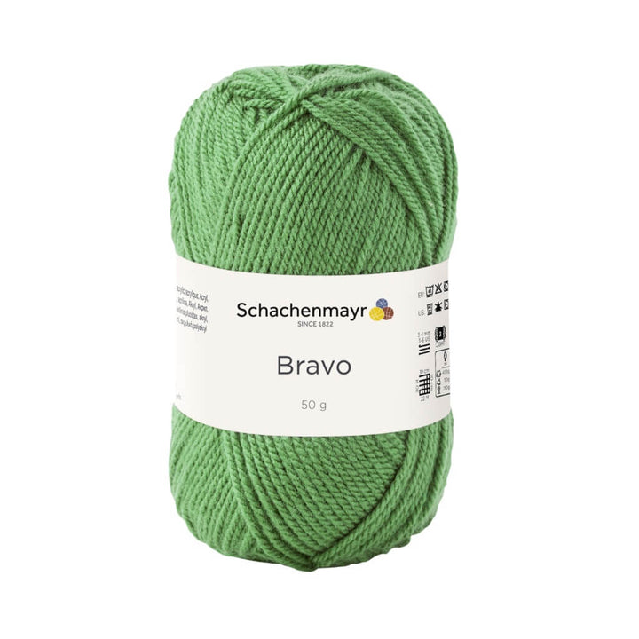 Schachenmayr 8191 - Farn Schachenmayr Bravo Originals Lieblingsgarn