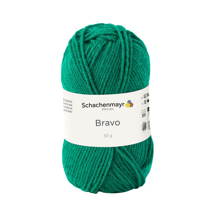Schachenmayr 8246 - Gras Schachenmayr Bravo Originals Lieblingsgarn