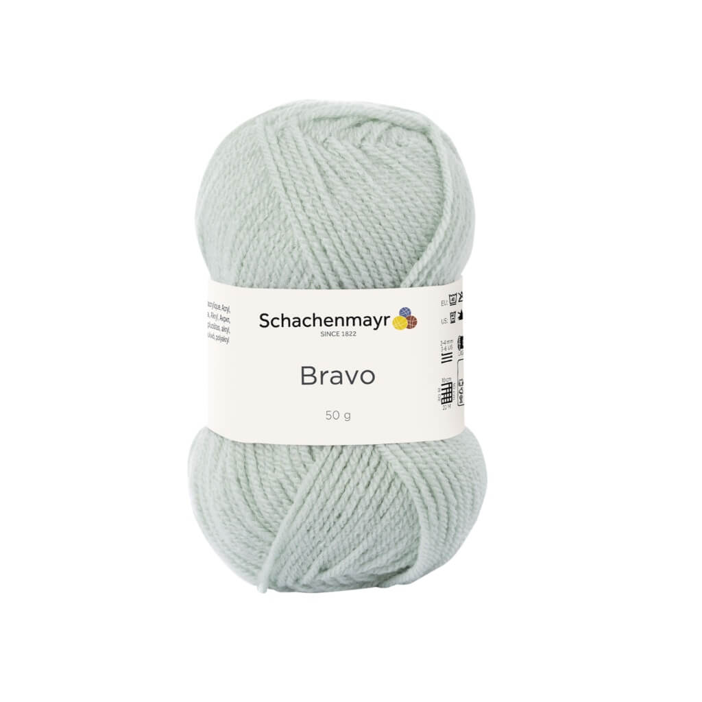 Schachenmayr 8359 - Mint Schachenmayr Bravo Originals Lieblingsgarn