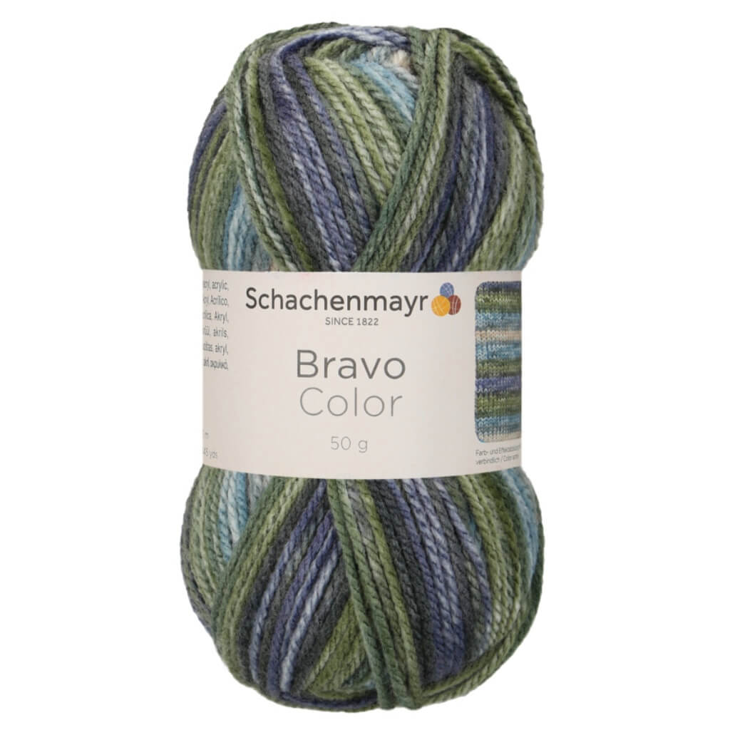 Schachenmayr Bravo Originals Color 2122 - Moor Color bei bei bei bei Lieblingsgarn