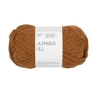 2573 - monks robe