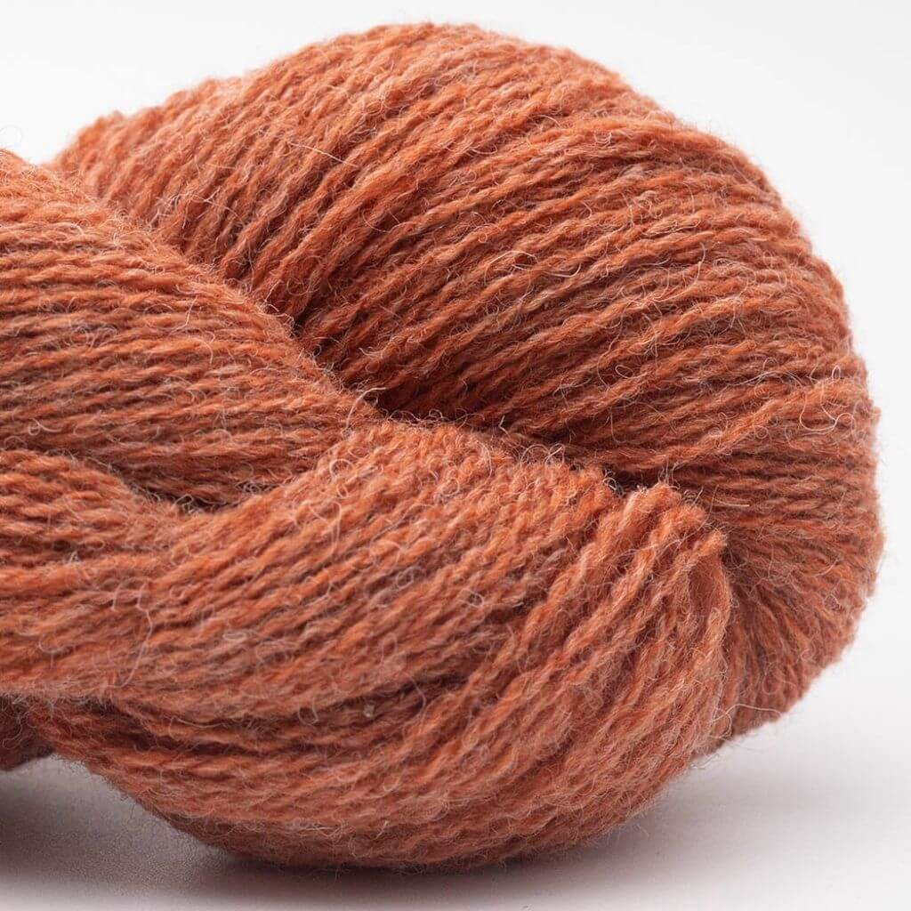 BC Garn Bio Shetland GOTS, Farbe 62 Bräunlich Orange – Schurwolle bei Lieblingsgarn