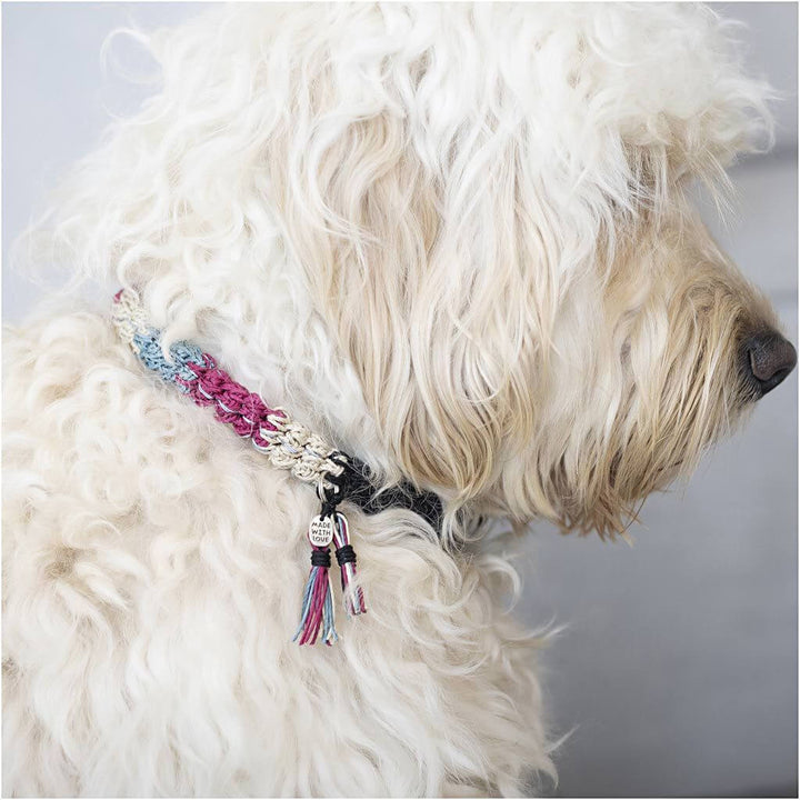 Creativ Company Mini Häkeln-Set Hundehalsband bei bei bei bei Lieblingsgarn
