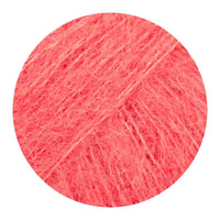 06 coral