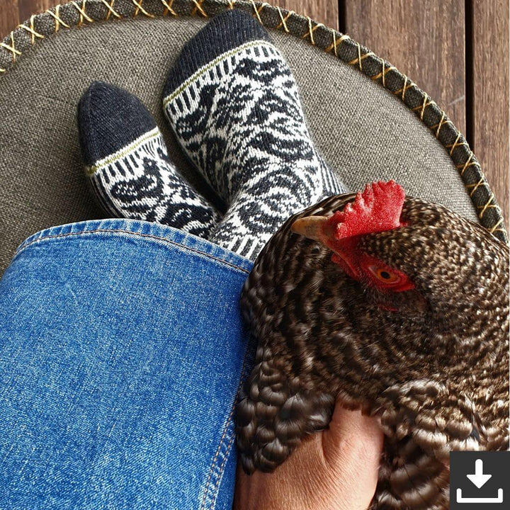 Ducathi Pattern Chicken Run Socken Strickanleitung - Ducathi (PDF) bei bei bei bei Lieblingsgarn