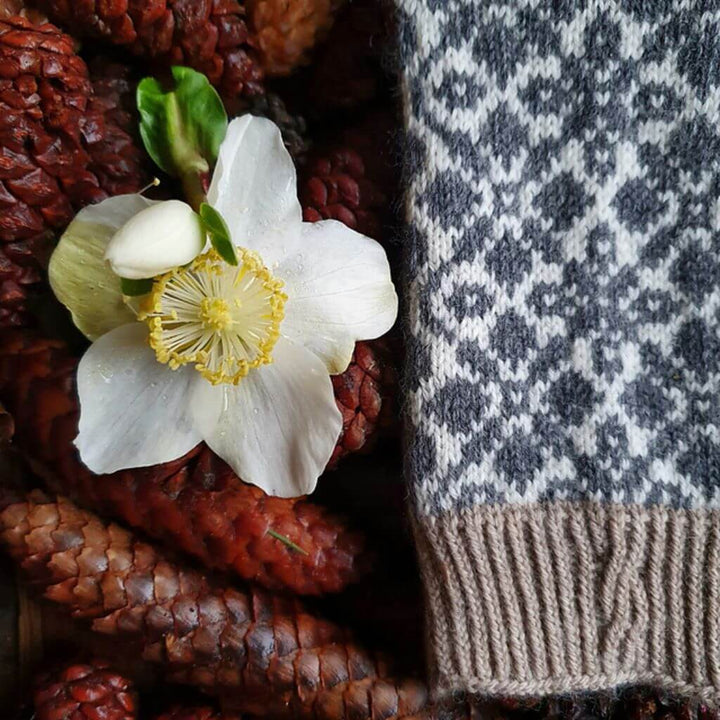 Ducathi Socken Stille Zeit 2 Strickanleitung - Ducathi (PDF) bei bei bei bei Lieblingsgarn