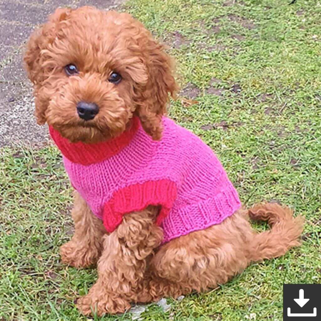 Drops Design Pattern Hundepullover Good Girl Sweater Strickanleitung - Drops (PDF) bei bei bei bei Lieblingsgarn