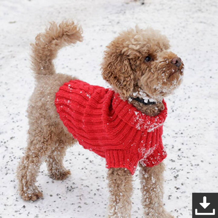 Drops Design Pattern Hundepullover Holiday Buddies Strickanleitung - Drops (PDF) bei bei bei bei bei bei bei Lieblingsgarn