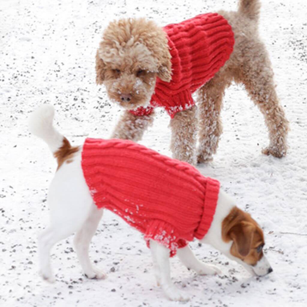 Drops Design Pattern Hundepullover Holiday Buddies Strickanleitung - Drops (PDF) bei bei bei bei bei bei bei Lieblingsgarn