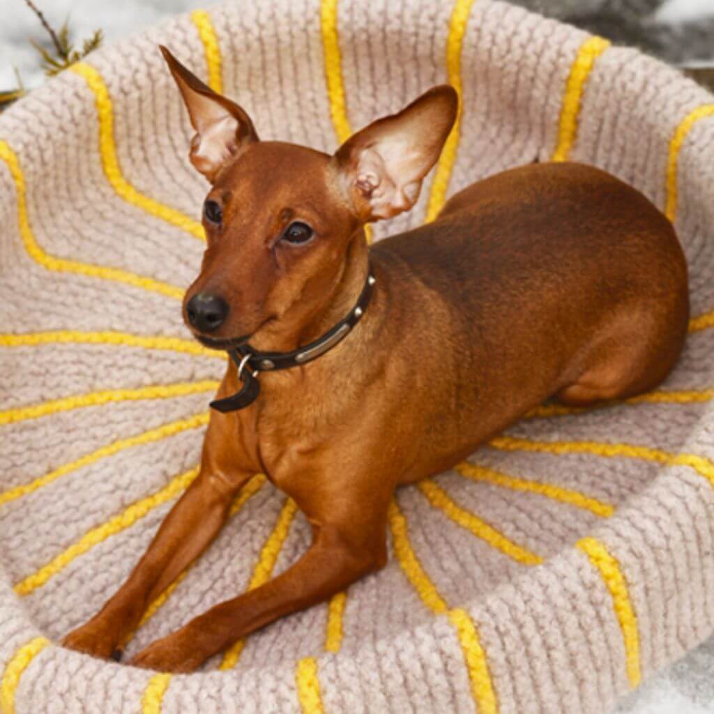 Drops Design Pattern Hundekorb Hot Dog Strickanleitung - Drops (PDF) bei bei bei bei Lieblingsgarn
