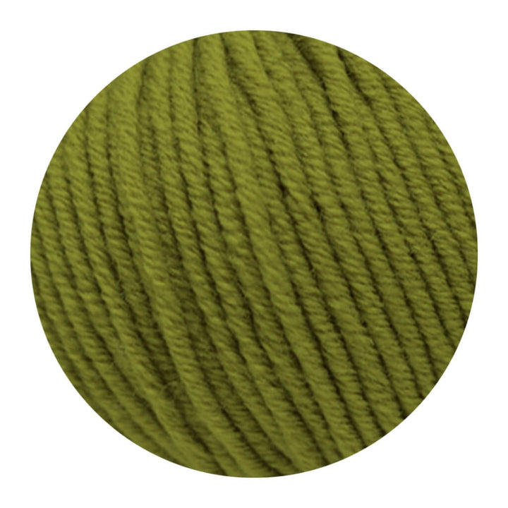 Lane Mondial Bio Lana 50g - Bio Wolle, Farbe 282 Farn – Schurwolle bei Lieblingsgarn