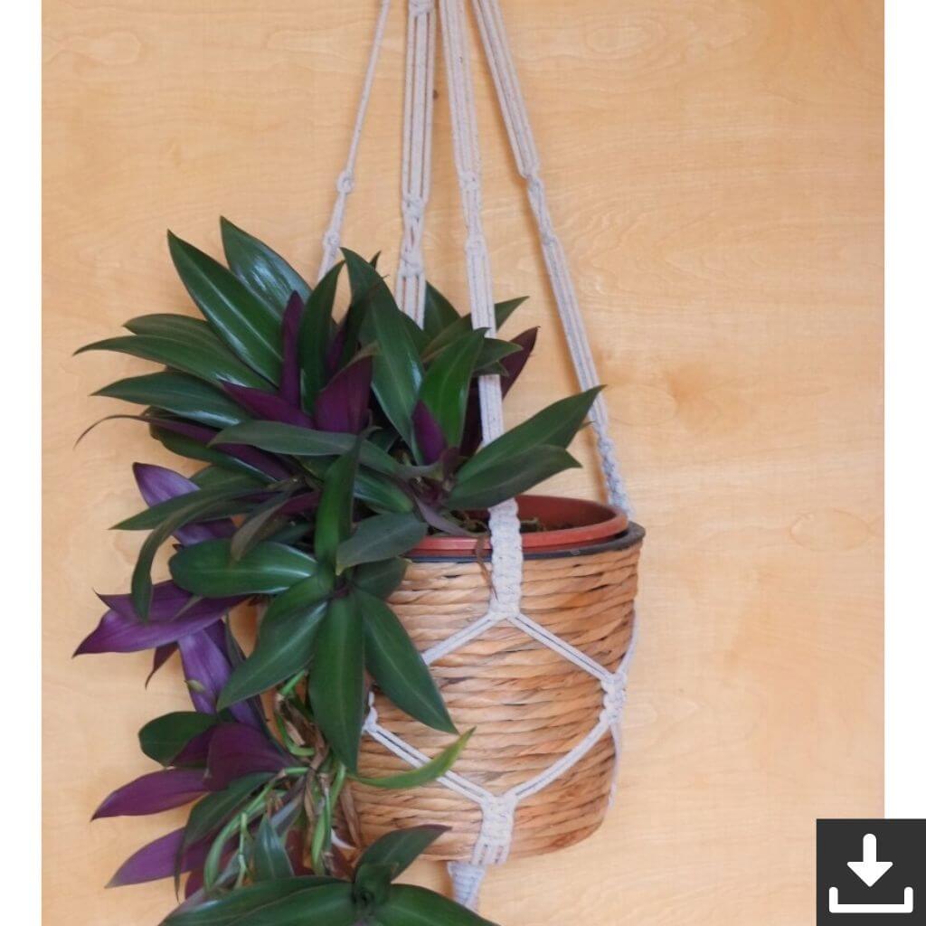 Lieblingsgarn Pattern Blumenampel Makrameeanleitung - Filani Lieblingsgarn (PDF) bei bei bei bei Lieblingsgarn