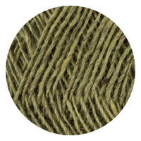 3031 - Moss