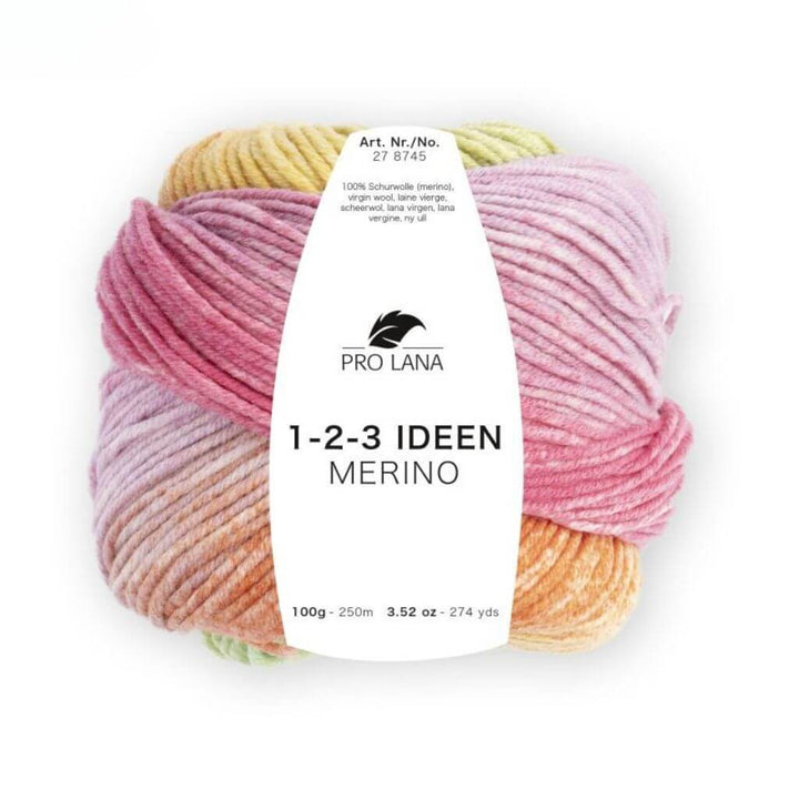 Pro Lana 1-2-3 Ideen Merino, Farbe 1 – Schurwolle bei Lieblingsgarn