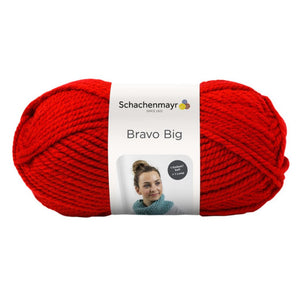 Schachenmayr Bravo Big 200g