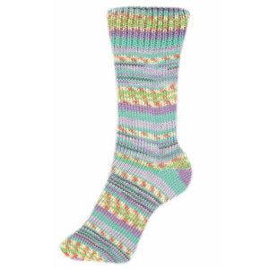 Schoeller + Stahl Fortissima Socka 4F Color