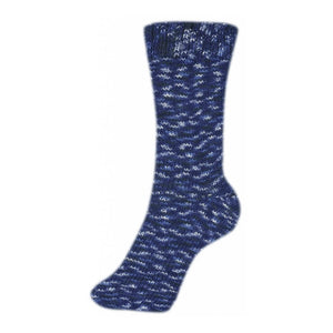 Schoeller + Stahl Fortissima Socka 4F Color