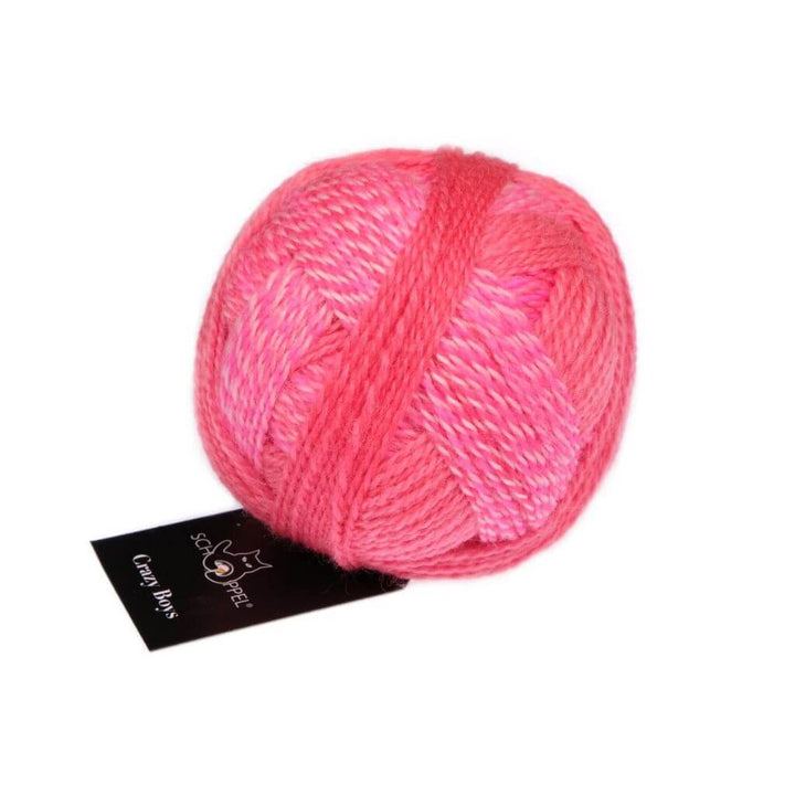Schoppel Wolle Crazy Boys, Farbe 2701 Willy – Schurwolle und Synthetik bei Lieblingsgarn