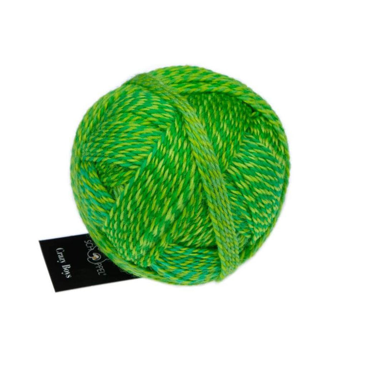 Schoppel Wolle Crazy Boys, Farbe 2707 Frank Walter – Schurwolle und Synthetik bei Lieblingsgarn