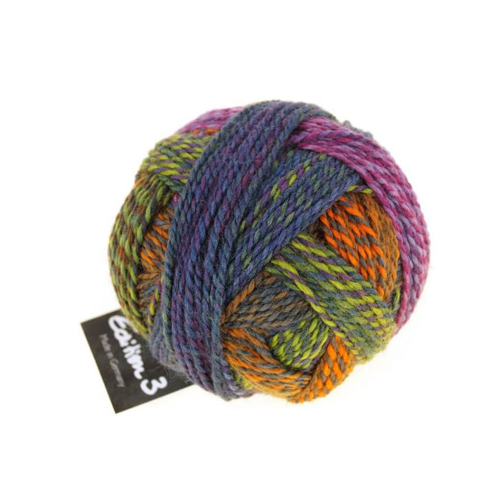 Schoppel Wolle Edition 3, Farbe 2328 Gartentage – Merino und Schurwolle bei Lieblingsgarn
