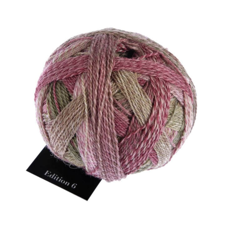 Schoppel Wolle Edition 6, Farbe 2442 Holzklasse – Schurwolle bei Lieblingsgarn