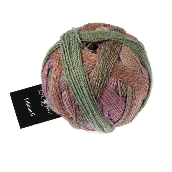 Schoppel Wolle Edition 6, Farbe 2629 Aurora – Schurwolle bei Lieblingsgarn