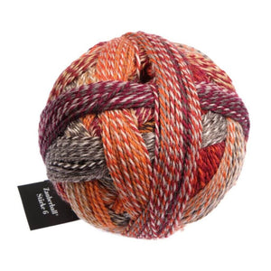 Schoppel Wolle Zauberball Stärke 6