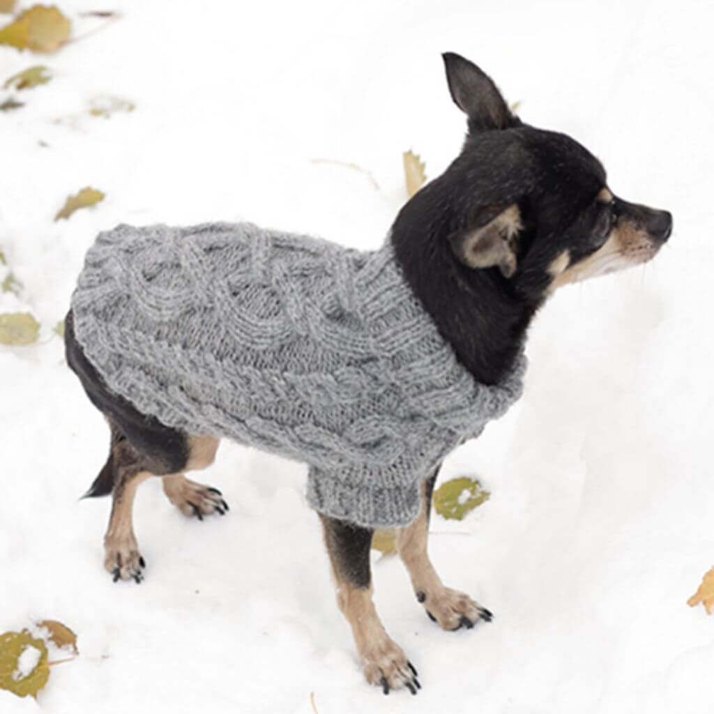 Drops Design Pattern Hundepullover The Lookout Strickanleitung-Drops (PDF) bei bei bei bei bei bei bei bei Lieblingsgarn