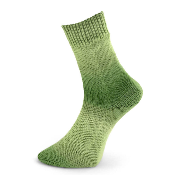 Woolly Hugs Year Socks, Farbe 5 Mai – Schurwolle und Synthetik bei Lieblingsgarn