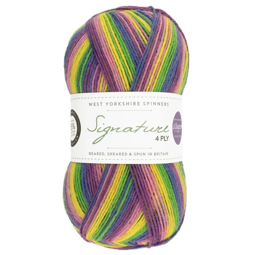 West Yorkshire Spinners Signature 4ply Winwick Mum bei bei bei bei Lieblingsgarn