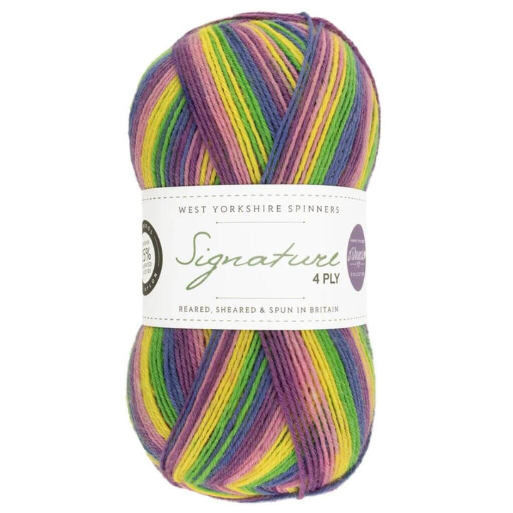 West Yorkshire Spinners Signature 4ply Winwick Mum bei bei bei bei Lieblingsgarn