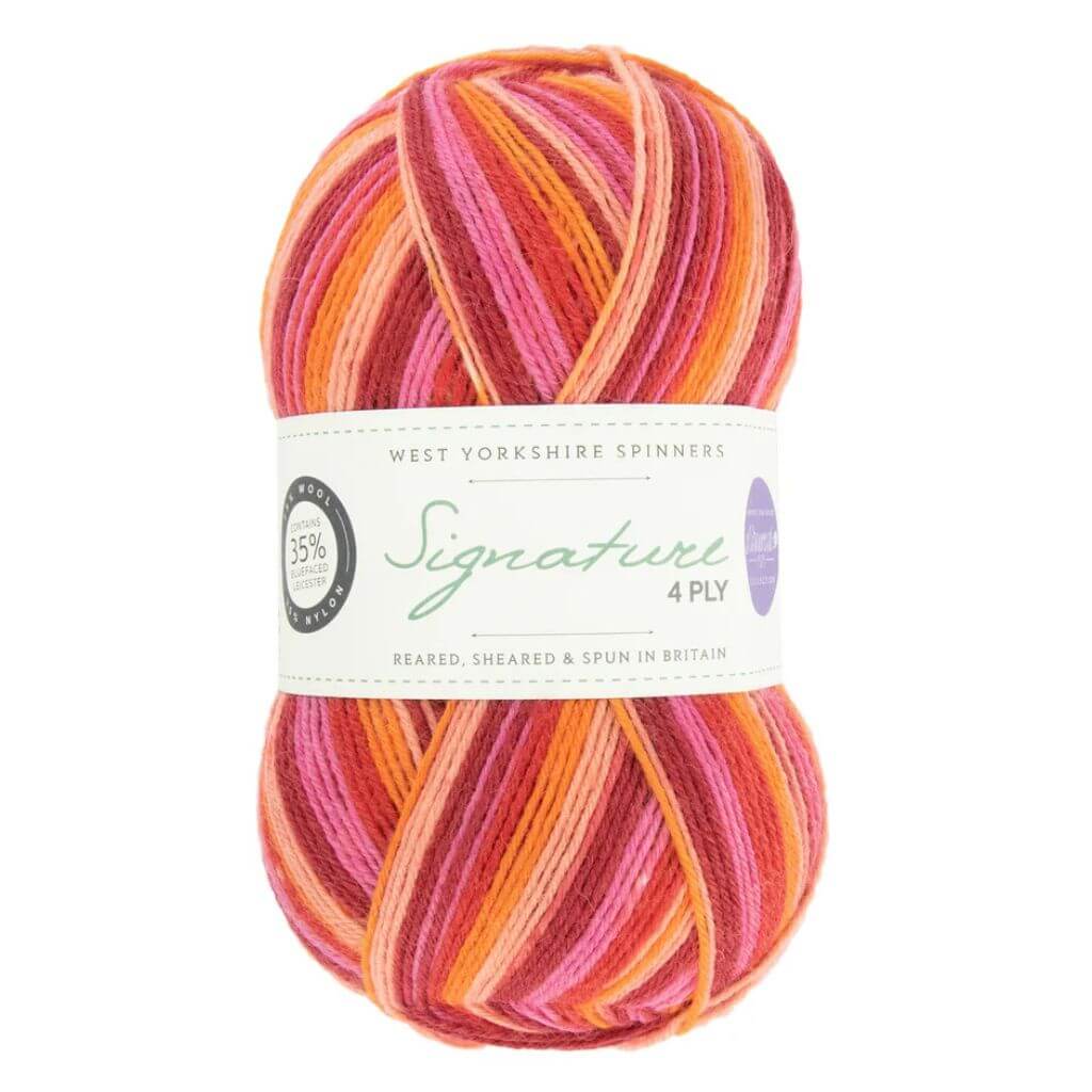 West Yorkshire Spinners Signature 4ply Winwick Mum bei bei bei bei Lieblingsgarn