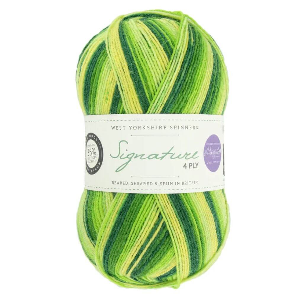 West Yorkshire Spinners Signature 4ply Winwick Mum bei bei bei bei Lieblingsgarn