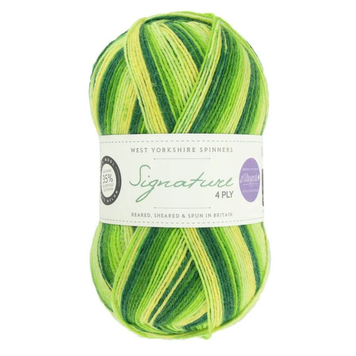 West Yorkshire Spinners Signature 4ply Winwick Mum bei bei bei bei Lieblingsgarn