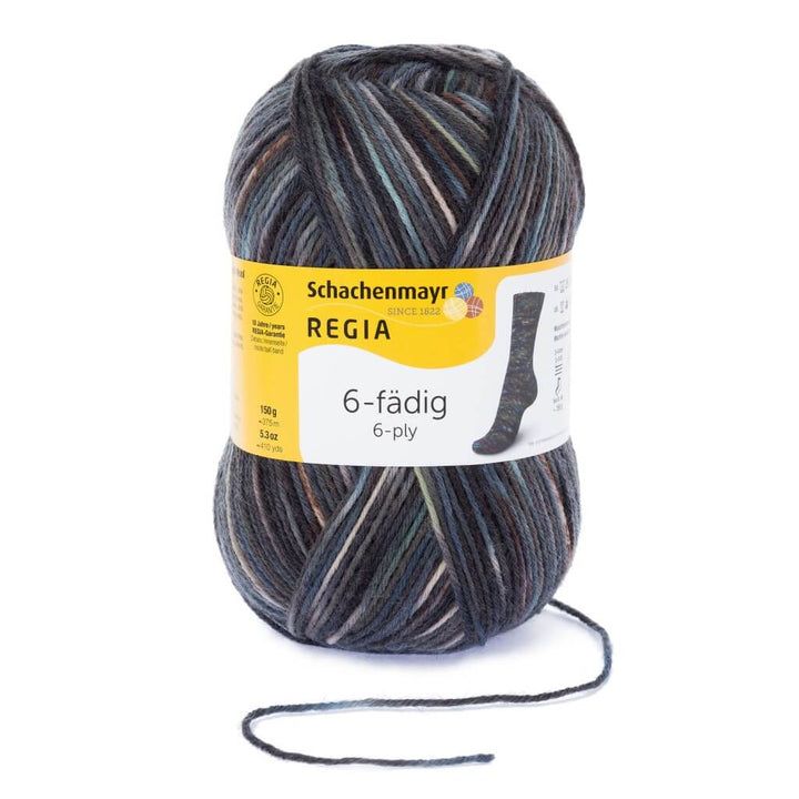 Schachenmayr Regia 6-Fädig Color 150G 6989 - Muse Color Lieblingsgarn